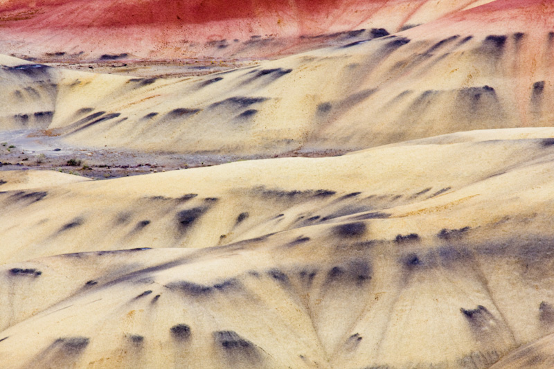 Detail Of The Painted Hills